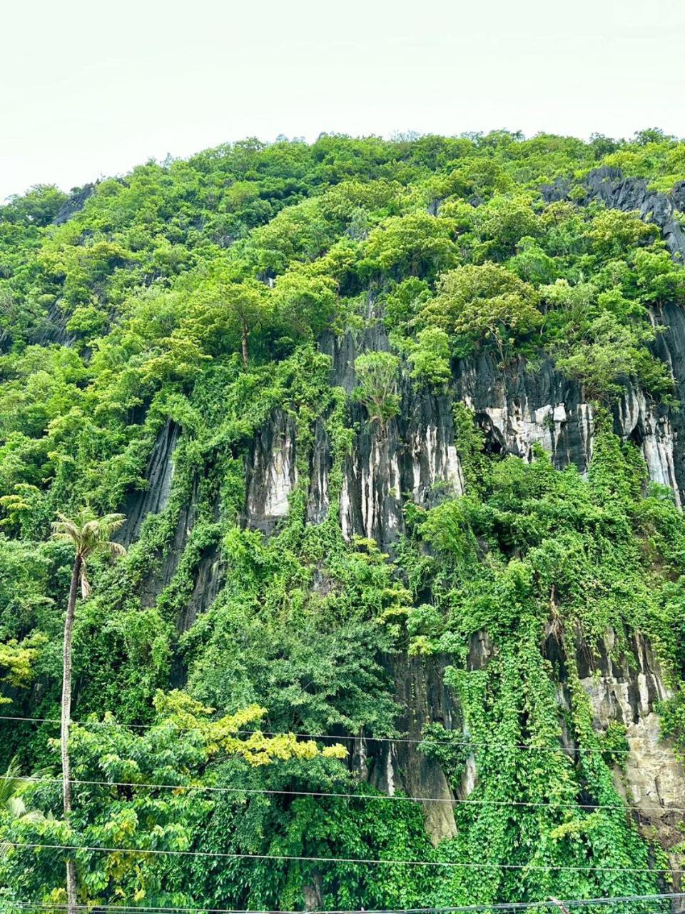 Mayad El Nido Inn Экстерьер фото